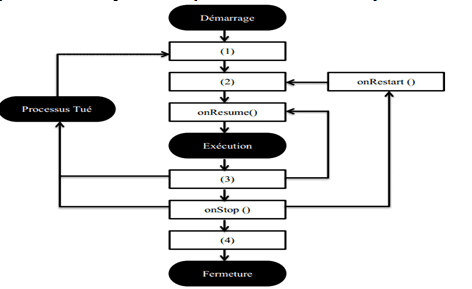 cycle-vie-activity